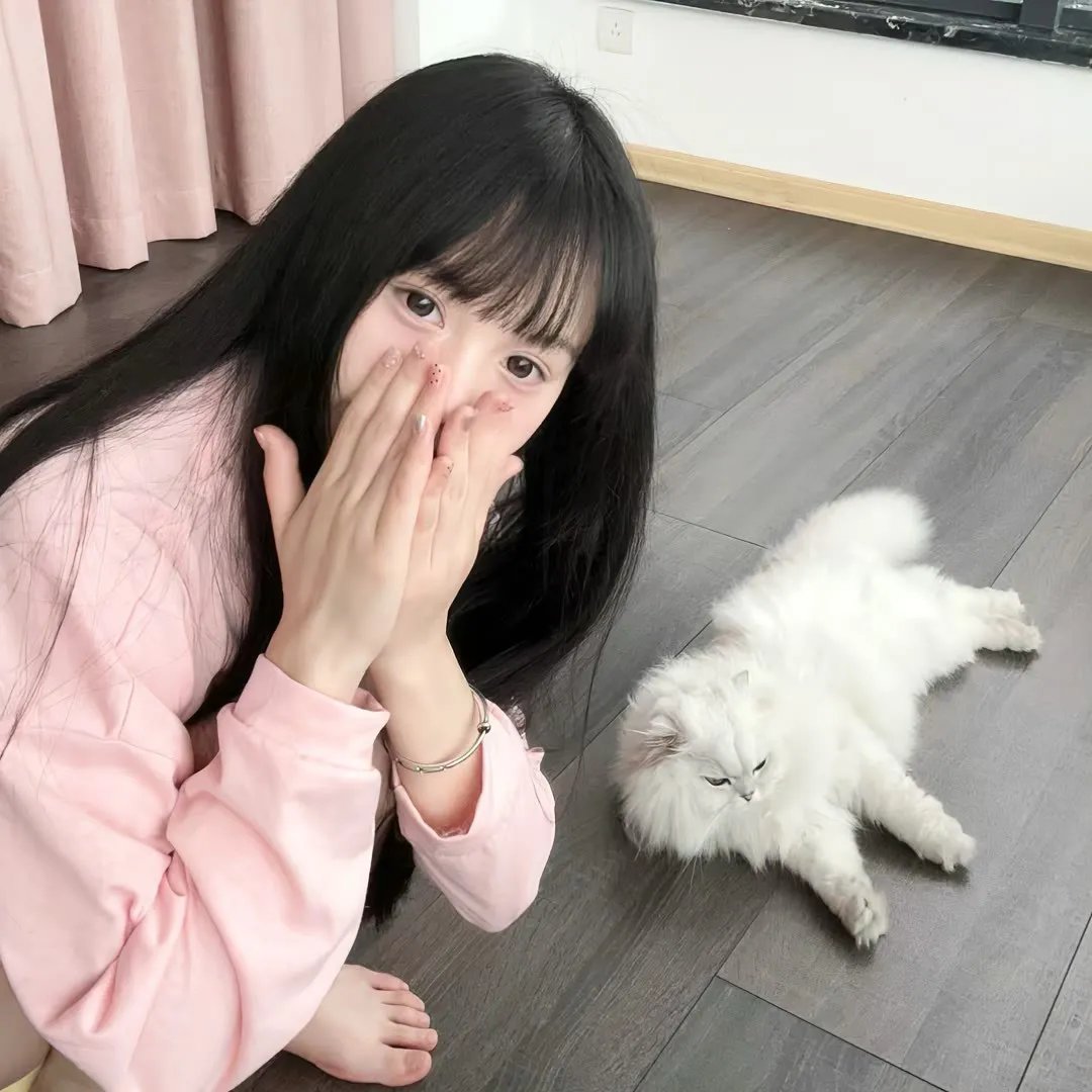 反斗智多星2