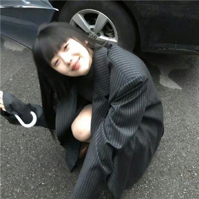 爱犬情深